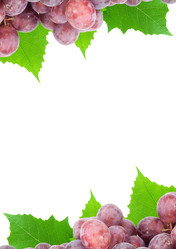 Similar image 1578461