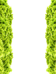 Similar image 1578487