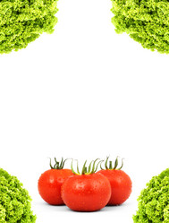 Similar image 1578488