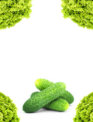 Similar image 1578491