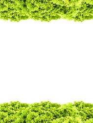 Similar image 1578503