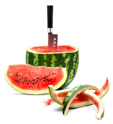 Similar image 1578514