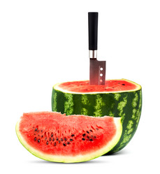 Similar image 1578585