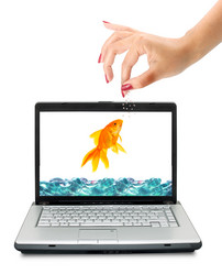 Similar image 1578613