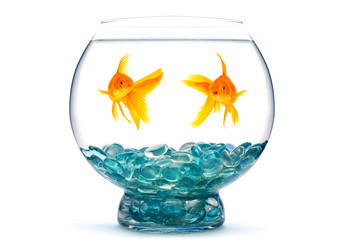 Similar image 1578624