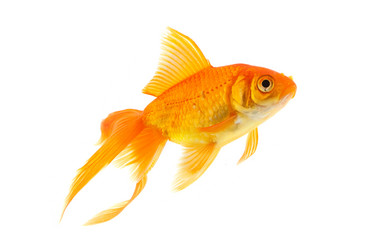 Similar image 1578678