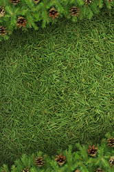 Similar image 1578706