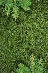 Similar image 1578707