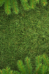 Similar image 1578709