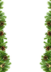 Similar image 1578716