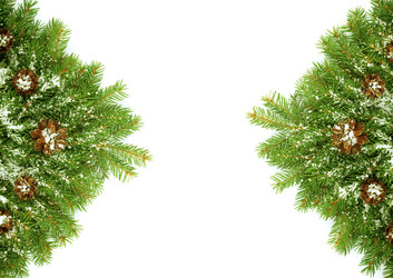 Similar image 1578743