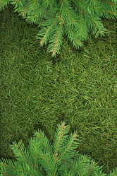 Similar image 1578744