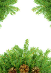 Similar image 1578747