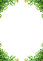 Similar image 1578760