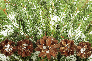 Similar image 1578774