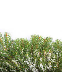 Similar image 1578796