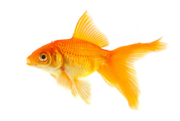 Similar image 1578811