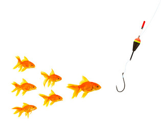 Similar image 1578812