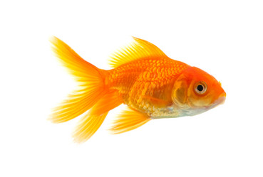 Similar image 1578816