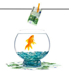 Similar image 1578822