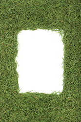 Similar image 1578848