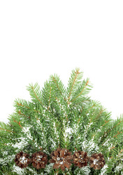 Similar image 1578862