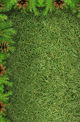 Similar image 1578864