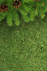 Similar image 1578876