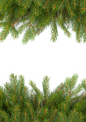 Similar image 1578879