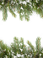 Similar image 1578880