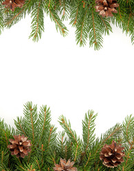 Similar image 1578881