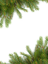 Similar image 1578887