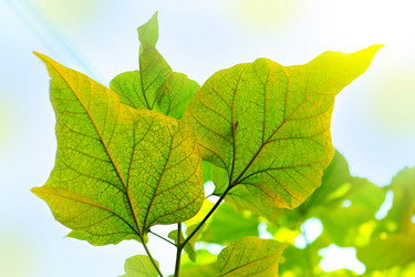 Similar image 1578914