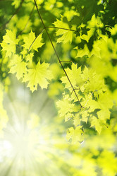 Similar image 1578919