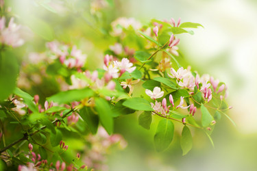 Similar image 1578922