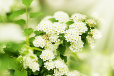 Similar image 1578923