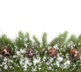 Similar image 1578929