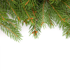 Similar image 1578931