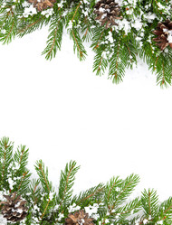 Similar image 1578996