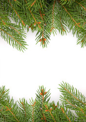 Similar image 1579002