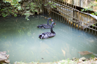 Similar image 1579064