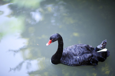 Similar image 1579066