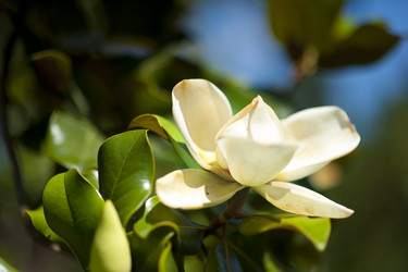 Similar image 1579073