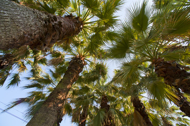 Similar image 1579075