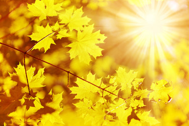 Similar image 1579074