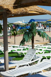 Similar image 1579109