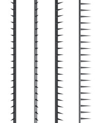 Similar image 1579167