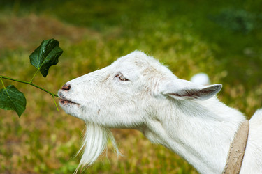 Similar image 1579192