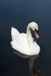 Similar image 1579212