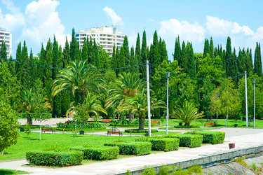 Similar image 1579224